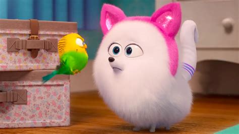 secret life of pets nude|Post 2558182: Gidget Kurikia The